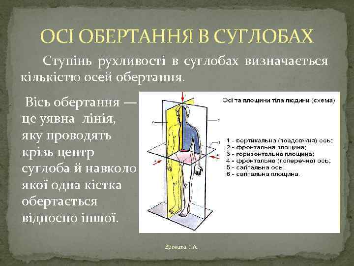 ОСІ ОБЕРТАННЯ В СУГЛОБАХ Ступінь рухливості в суглобах визначається кількістю осей обертання. Вісь обертання