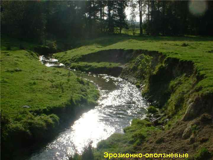 Эрозионно-оползневые 
