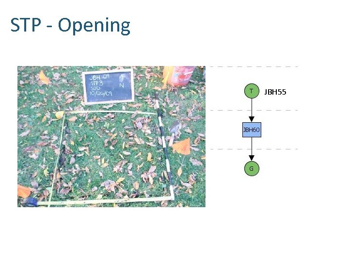 STP - Opening JBH 55 