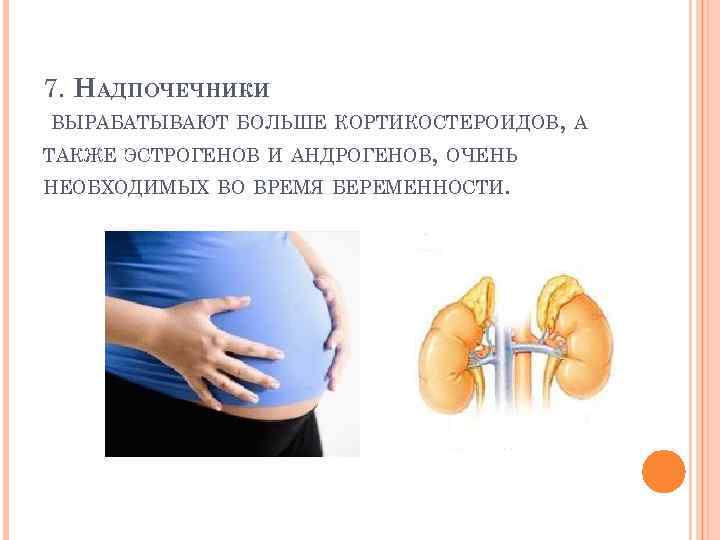 7. НАДПОЧЕЧНИКИ ВЫРАБАТЫВАЮТ БОЛЬШЕ КОРТИКОСТЕРОИДОВ, А ТАКЖЕ ЭСТРОГЕНОВ И АНДРОГЕНОВ, ОЧЕНЬ НЕОБХОДИМЫХ ВО ВРЕМЯ