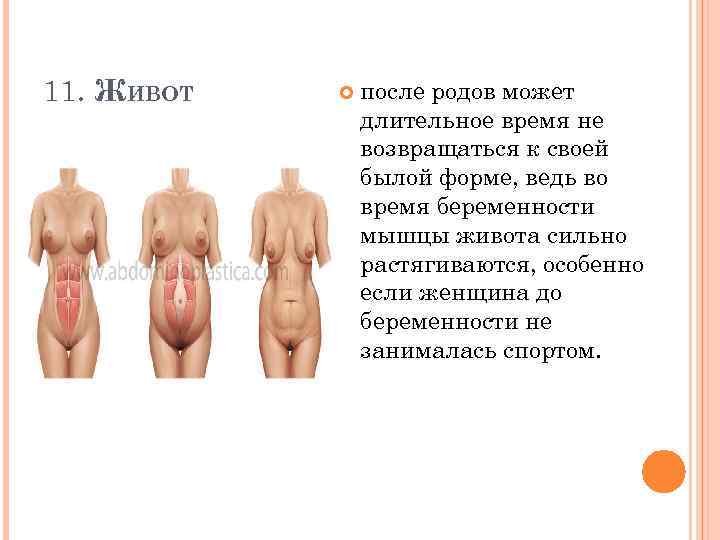 11. ЖИВОТ после родов может длительное время не возвращаться к своей былой форме, ведь