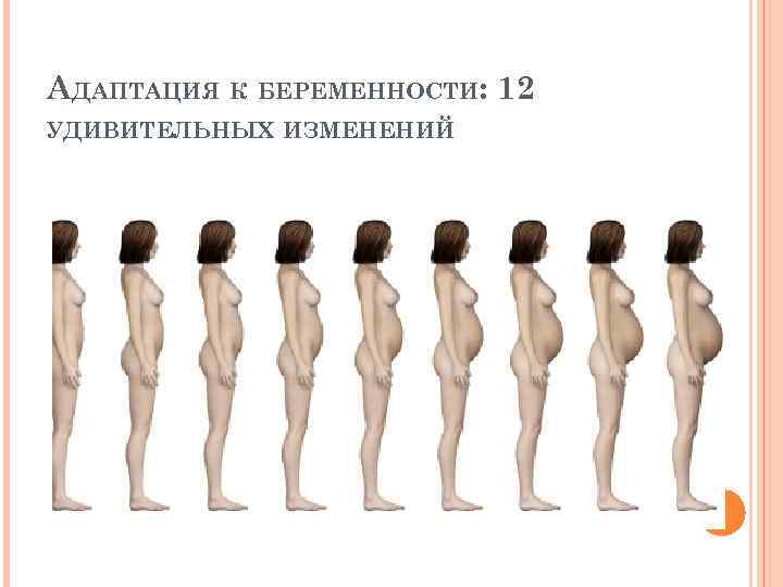 АДАПТАЦИЯ К БЕРЕМЕННОСТИ: 12 УДИВИТЕЛЬНЫХ ИЗМЕНЕНИЙ 