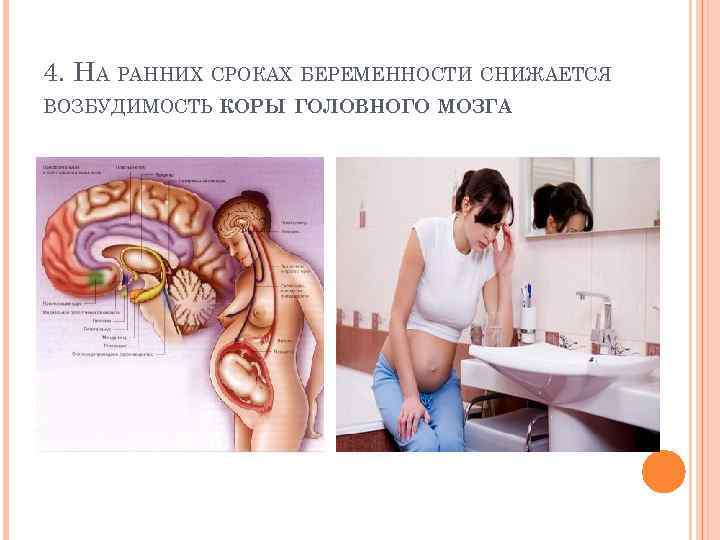 4. НА РАННИХ СРОКАХ БЕРЕМЕННОСТИ СНИЖАЕТСЯ ВОЗБУДИМОСТЬ КОРЫ ГОЛОВНОГО МОЗГА 