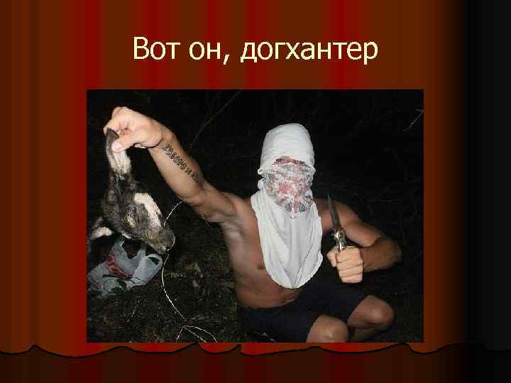 Вот он, догхантер 