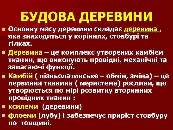 БУДОВА ДЕРЕВИНИ n n n Основну масу деревини складає деревина , яка знаходиться у