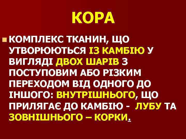 КОРА n КОМПЛЕКС ТКАНИН, ЩО УТВОРЮЮТЬСЯ ІЗ КАМБІЮ У ВИГЛЯДІ ДВОХ ШАРІВ З ПОСТУПОВИМ