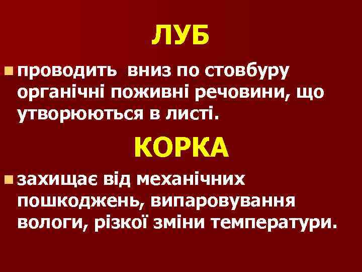 ЛУБ n проводить вниз по стовбуру органічні поживні речовини, що утворюються в листі. КОРКА