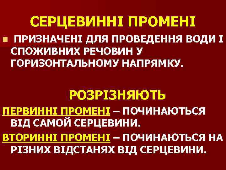 СЕРЦЕВИННІ ПРОМЕНІ n ПРИЗНАЧЕНІ ДЛЯ ПРОВЕДЕННЯ ВОДИ І СПОЖИВНИХ РЕЧОВИН У ГОРИЗОНТАЛЬНОМУ НАПРЯМКУ. РОЗРІЗНЯЮТЬ