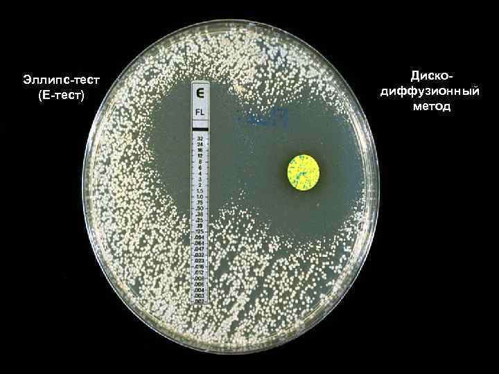 Эллипс-тест (Е-тест) Дискодиффузионный метод 