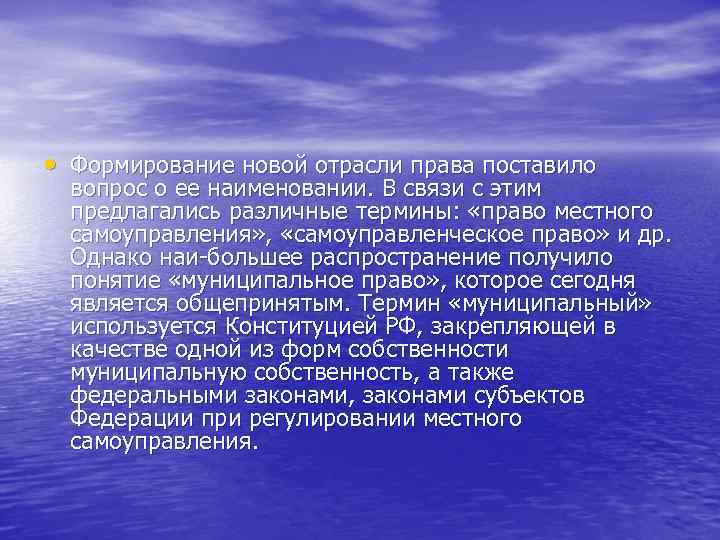  • Формирование новой отрасли права поставило вопрос о ее наименовании. В связи с