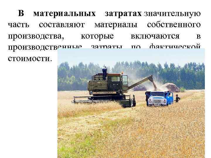 В материальных затратах значительную часть составляют материалы собственного производства, которые включаются в производственные затраты
