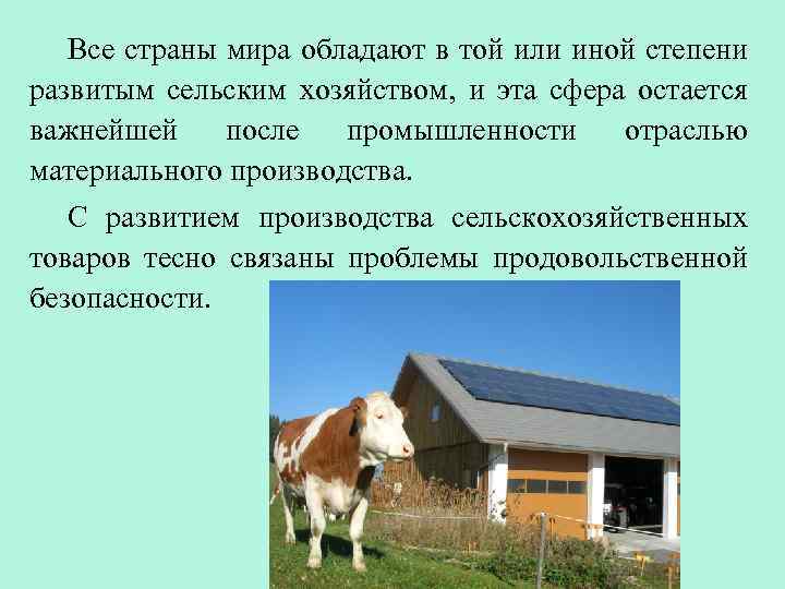 Все страны мира обладают в той или иной степени развитым сельским хозяйством, и эта