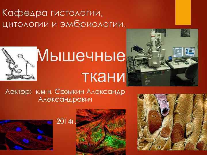 Кафедра гистологии, цитологии и эмбриологии. Мышечные ткани Лектор: к. м. н. Созыкин Александрович 2014