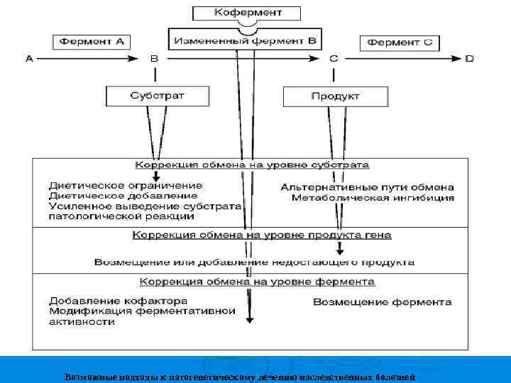  Возможные подходы к патогенетическому лечению наследственных болезней 