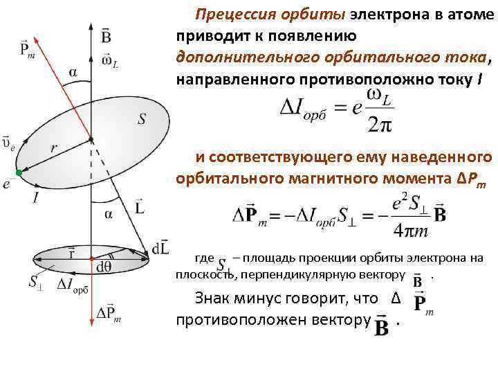 Поверхность электрона. Прецессия электронной орбиты. Прецессия магнитного момента. Проекция орбитального магнитного момента электрона. Прецессия магнитного момента в магнитном поле.