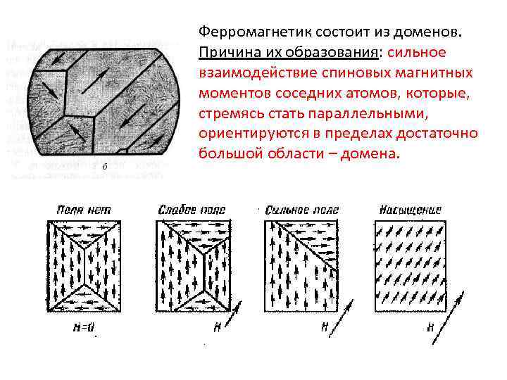 Ферромагнетик состоит из доменов. Причина их образования: сильное взаимодействие спиновых магнитных моментов соседних атомов,
