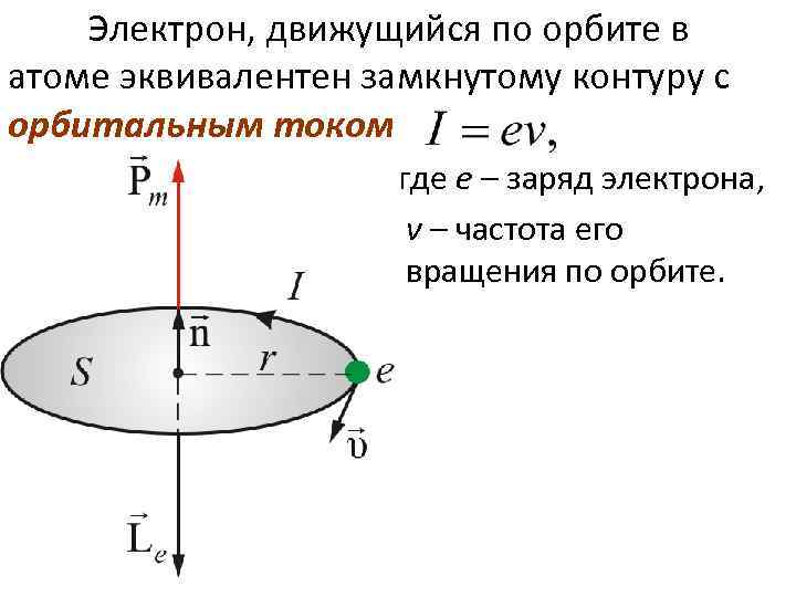 Электрон, движущийся по орбите в атоме эквивалентен замкнутому контуру с орбитальным током где е