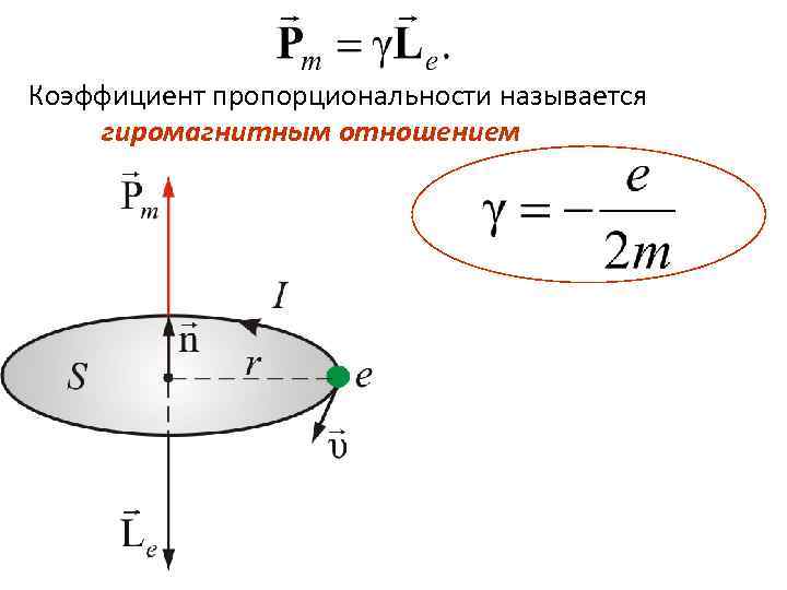  Коэффициент пропорциональности называется гиромагнитным отношением 