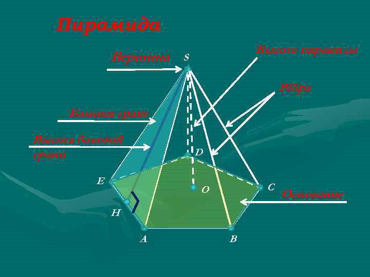 Пирамида Вершина Высота пирамиды S Рёбра Боковая грань Высота боковой грани D E C
