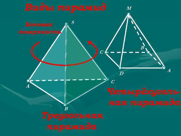 Виды пирамид M S Боковая поверхность B C D A C A B Треугольная