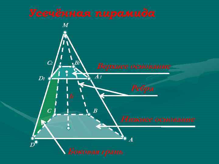 Усечённая пирамида M C 1 B 1 Верхнее основание A 1 D 1 Ребра