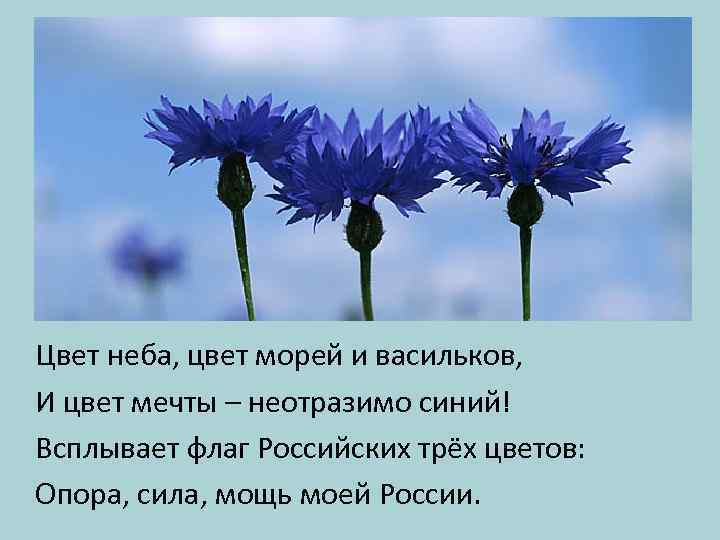 Цвет неба, цвет морей и васильков, И цвет мечты – неотразимо синий! Всплывает флаг