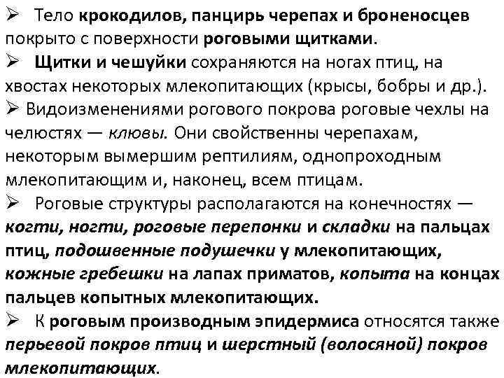 Ø Тело крокодилов, панцирь черепах и броненосцев покрыто с поверхности роговыми щитками. Ø Щитки