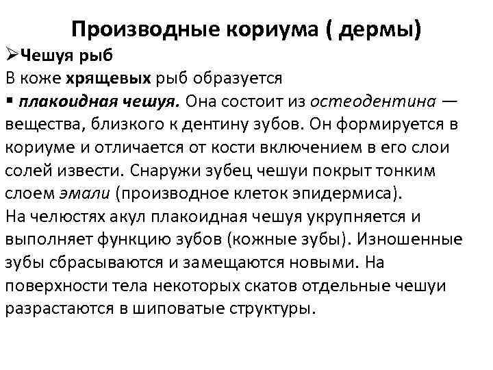 Производные кориума ( дермы) ØЧешуя рыб В коже хрящевых рыб образуется § плакоидная чешуя.