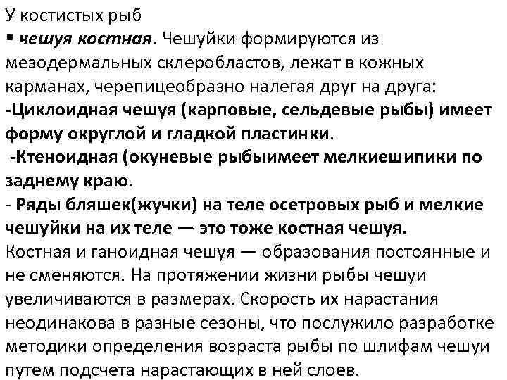 У костистых рыб § чешуя костная. Чешуйки формируются из мезодермальных склеробластов, лежат в кожных