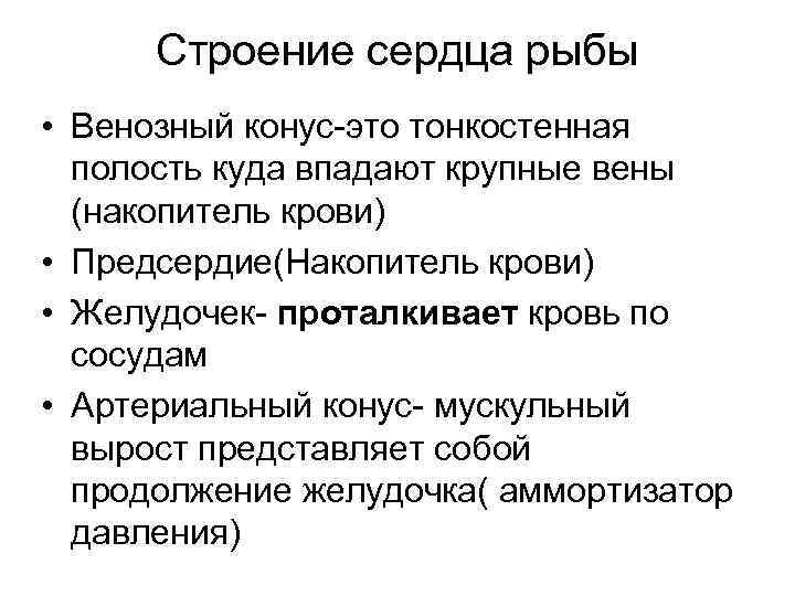 Строение сердца рыбы • Венозный конус-это тонкостенная полость куда впадают крупные вены (накопитель крови)