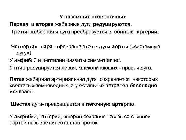 У наземных позвоночных Первая и вторая жаберные дуги редуцируются. Третья жаберная я дуга преобразуется