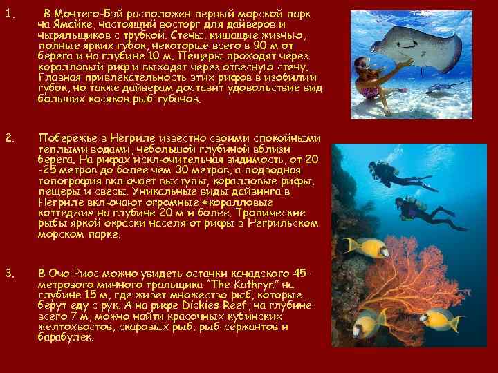 1. В Монтего-Бэй расположен первый морской парк на Ямайке, настоящий восторг для дайверов и