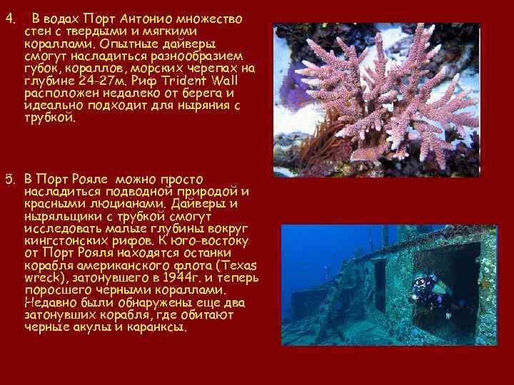 4. В водах Порт Антонио множество стен с твердыми и мягкими кораллами. Опытные дайверы
