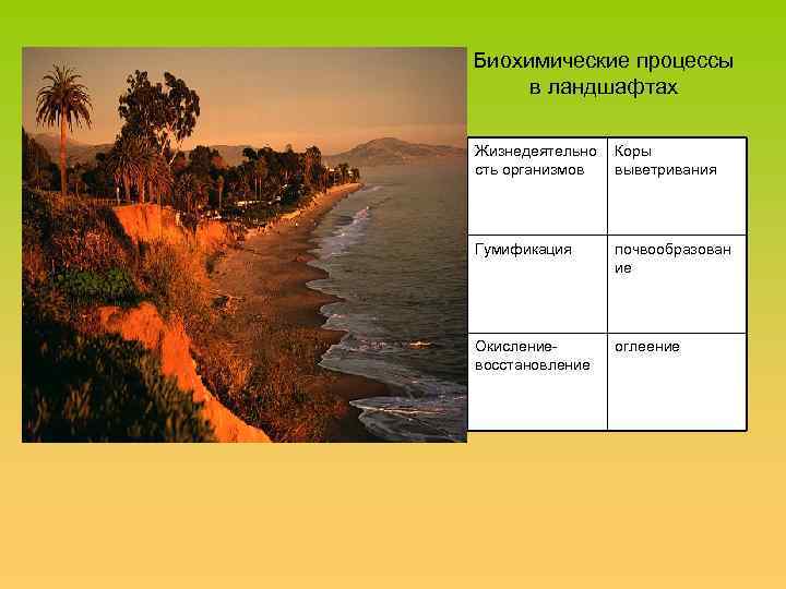 Биохимические процессы в ландшафтах Жизнедеятельно сть организмов Коры выветривания Гумификация почвообразован ие Окислениевосстановление оглеение