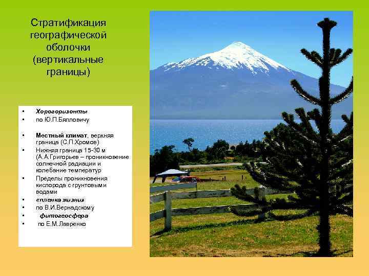 Стратификация географической оболочки (вертикальные границы) • • Хорогоризонты по Ю. П. Бялловичу • Местный
