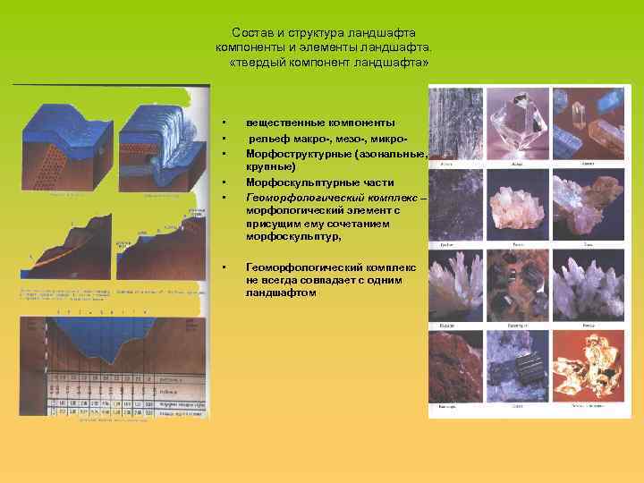 Состав и структура ландшафта компоненты и элементы ландшафта. «твердый компонент ландшафта» • • •