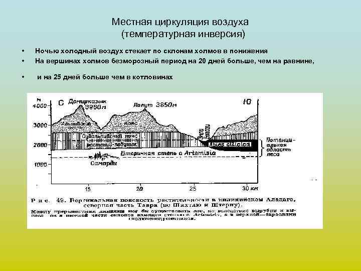 Местная циркуляция воздуха (температурная инверсия) • • Ночью холодный воздух стекает по склонам холмов