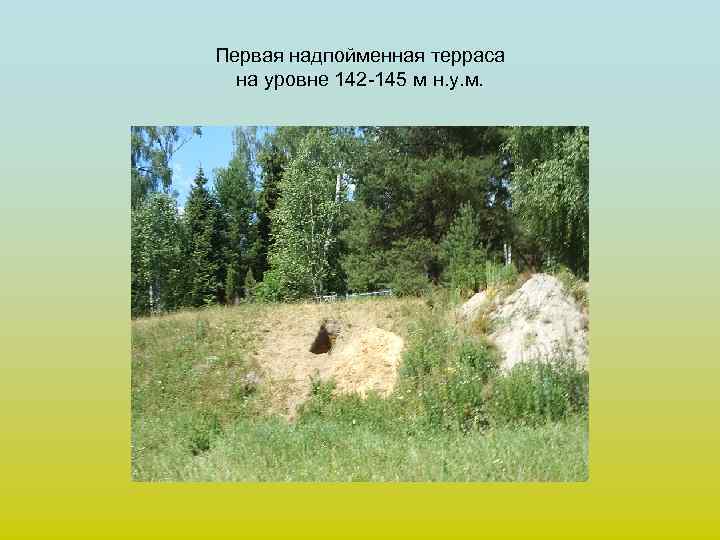 Первая надпойменная терраса на уровне 142 -145 м н. у. м. 