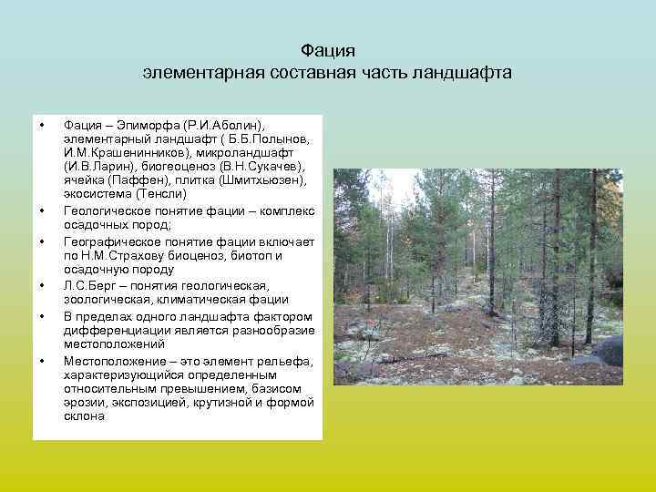 Фация элементарная составная часть ландшафта • • • Фация – Эпиморфа (Р. И. Аболин),