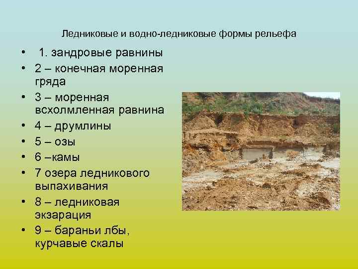 Ледниковые и водно-ледниковые формы рельефа • 1. зандровые равнины • 2 – конечная моренная