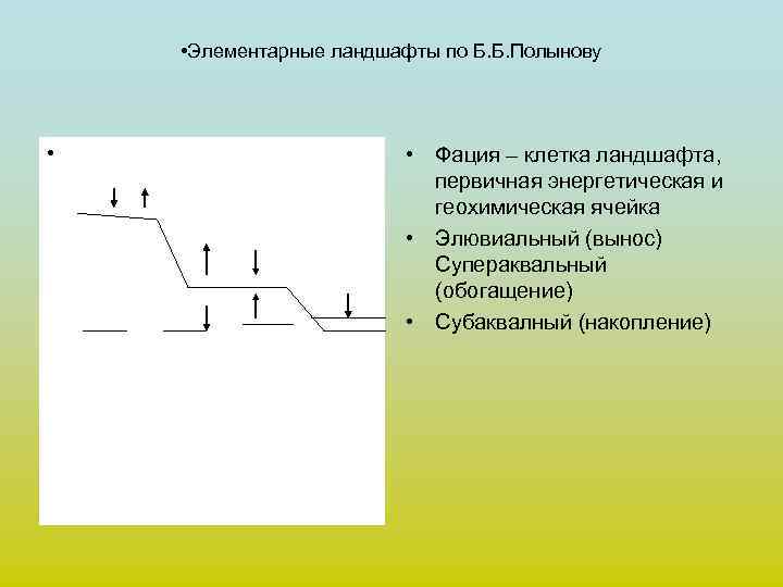  • Элементарные ландшафты по Б. Б. Полынову • • Фация – клетка ландшафта,
