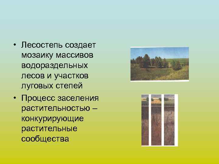  • Лесостепь создает мозаику массивов водораздельных лесов и участков луговых степей • Процесс