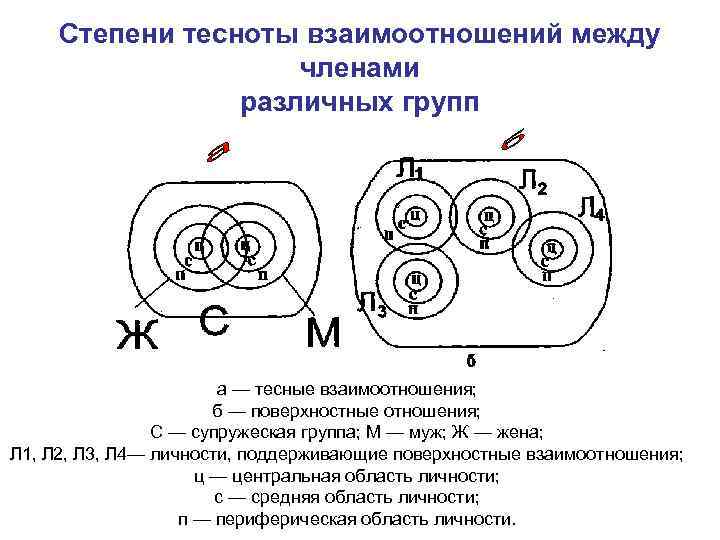 Степени тесноты взаимоотношений между членами различных групп а — тесные взаимоотношения; б — поверхностные
