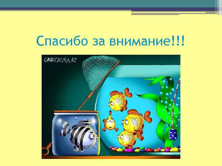 Спасибо за внимание!!! 