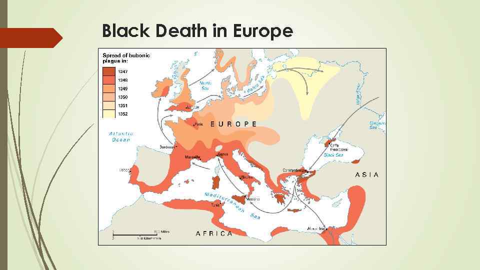 Black Death in Europe 