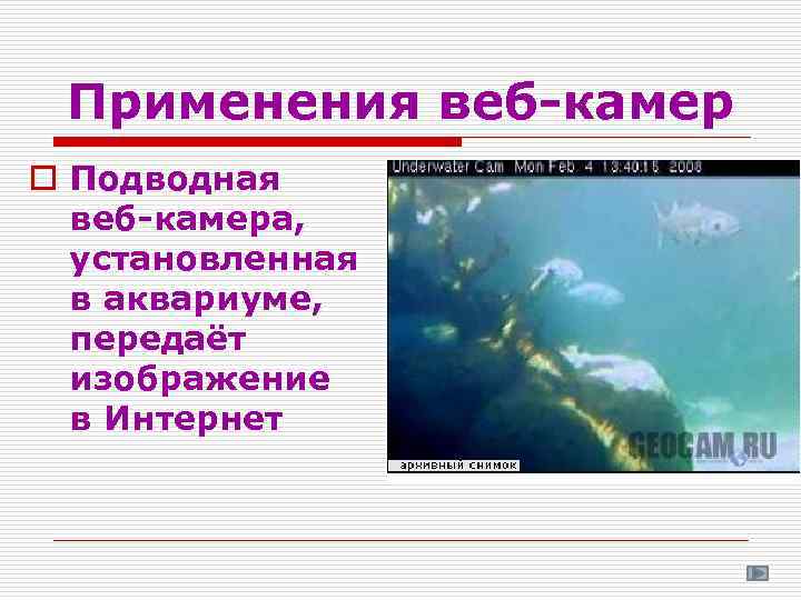 Применения веб-камер o Подводная веб-камера, установленная в аквариуме, передаёт изображение в Интернет 