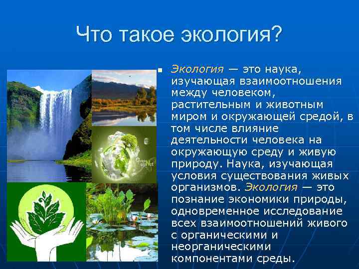 Что такое экология? n Экология — это наука, изучающая взаимоотношения между человеком, растительным и