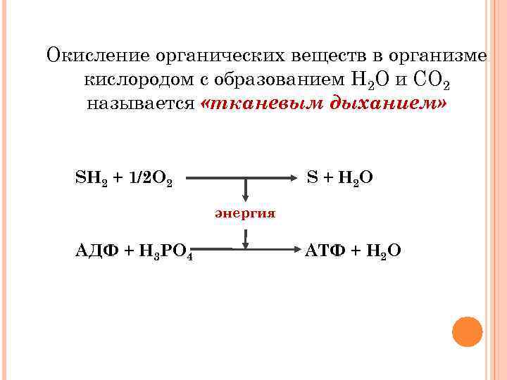 Процесс окисления органических веществ