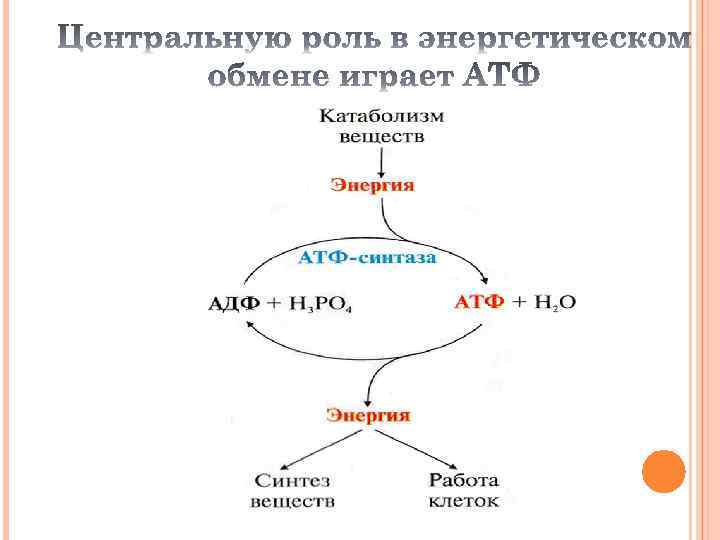 Взаимосвязь обмена веществ в организме. Взаимосвязь обмена веществ и энергии. Субстраты энергетического обмена взаимосвязь и регуляция. Взаимосвязь обмена веществ и обмена энергии. Попробуйте расшифровать схему взаимосвязь обмена веществ и энергии.