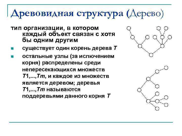 Древовидная структура (Дерево) тип организации, в котором каждый объект связан с хотя бы одним